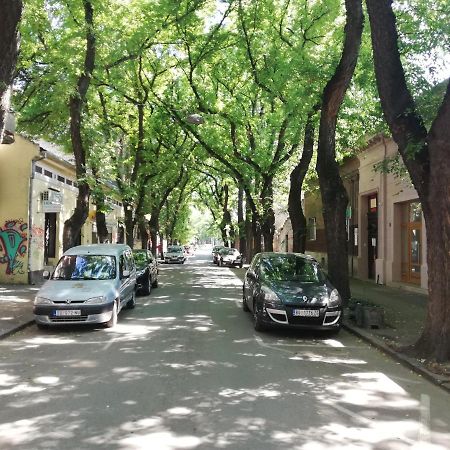 סובוטיקה Apartman Park מראה חיצוני תמונה