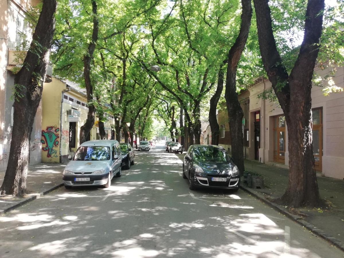 סובוטיקה Apartman Park מראה חיצוני תמונה